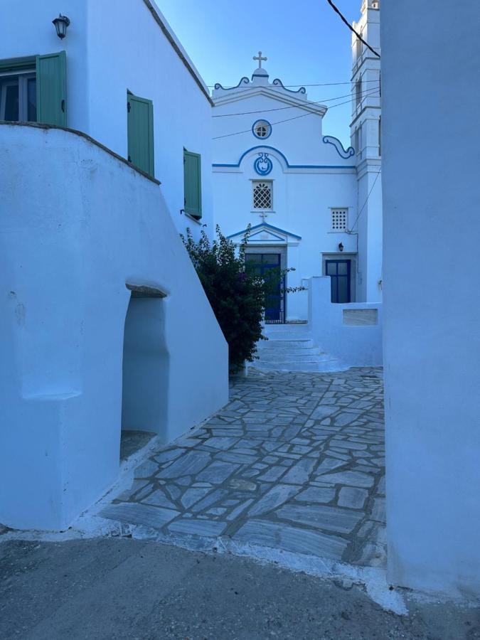 Cycladic House With Amazing View In Potamia Village Dio Choria エクステリア 写真