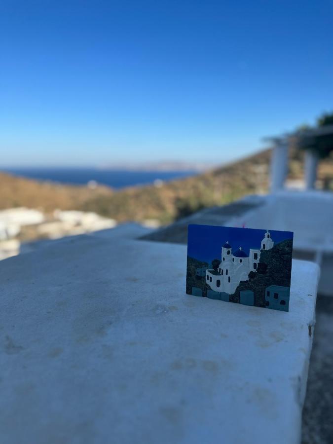 Cycladic House With Amazing View In Potamia Village Dio Choria エクステリア 写真